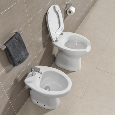 vaso e bidet per disabili