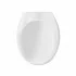Coperchio wc dedicato Nero Ceramica serie Iceberg con chiusura rallenty e sgancio rapido