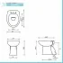 Sanitari tradizionali scarico a terra per bagno completo e lavabo con colonna Clara