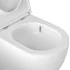 Wc filomuro con scarico a vortice e copriwc soft-close Tao