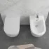 Sedile originale per wc Comoda sgancio rapido e chiusura soft-close