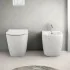 Wc filomuro Rimless in ceramica bianco lucido serie Tokyo 