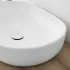 Dettaglio Lavabo da appoggio ovale 60x41 cm bianco opaco Tokyo