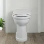 Wc per anziani H49 cm con scarico a pavimento 