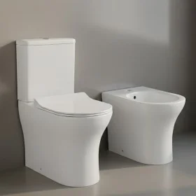 Coppia sanitari per disabili con apertura frontale completa di copriwc | Leroy Merlin